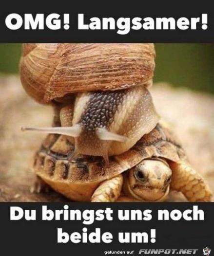 Zu schnell Zu schnell