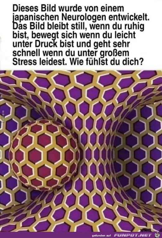 Geniales Bild Geniales Bild