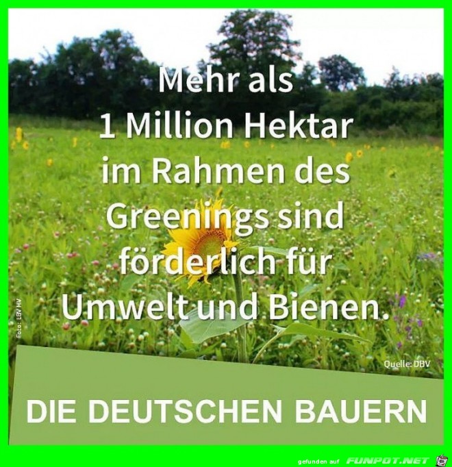 Fr die Bienen und die Umwelt