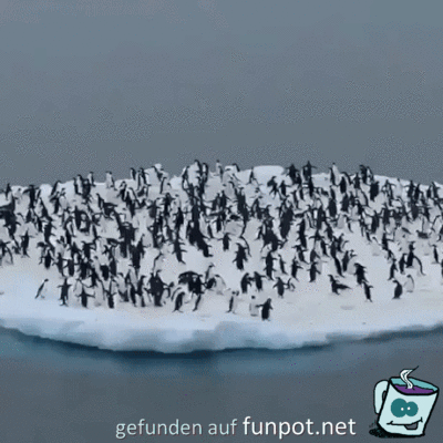 Ab ins Wasser Ab ins Wasser