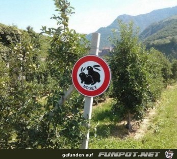 Lustiges Schild Lustiges Schild