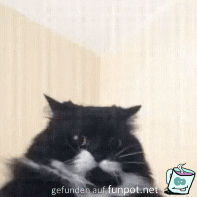 Ich bleib lieber unten Ich bleib lieber unten