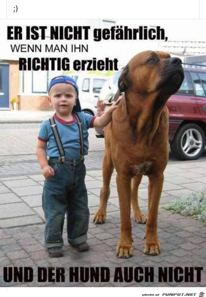 Er ist nicht gefaehrlich Er ist nicht gefaehrlich