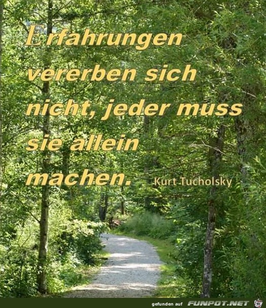 Erfahrungen vererben sich nicht Erfahrungen vererben sich nicht