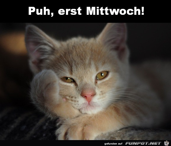 Mittwoch Mittwoch