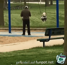 Hund schaukelt Hund schaukelt