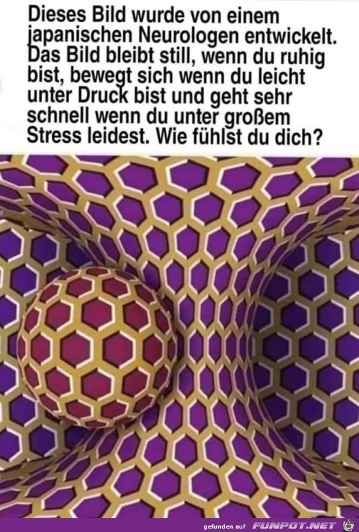 Stress-Test Stress-Test