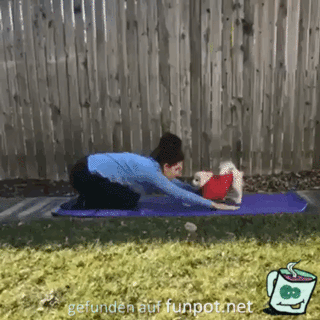 Fitnesspartner Fitnesspartner