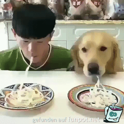 Wer ist schneller Wer ist schneller