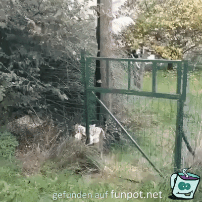 Mit dem Stofftier unterwegs Mit dem Stofftier unterwegs