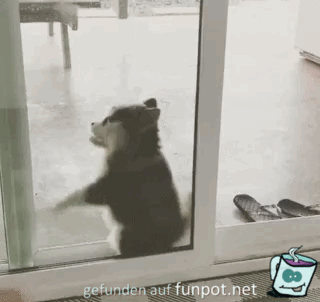 Durchquetschen Durchquetschen