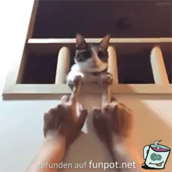Fingerspiele Fingerspiele