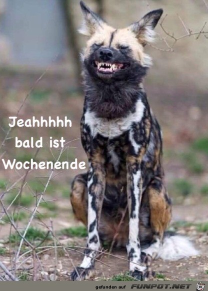 Bald ist Wochenende