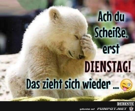 Dienstag Dienstag