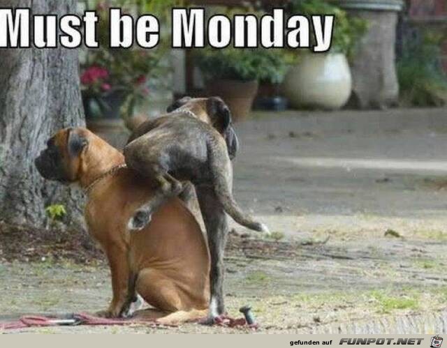 Muss Montag sein Muss Montag sein