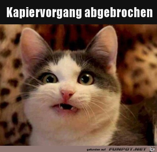 Ich blicks nicht Ich blicks nicht