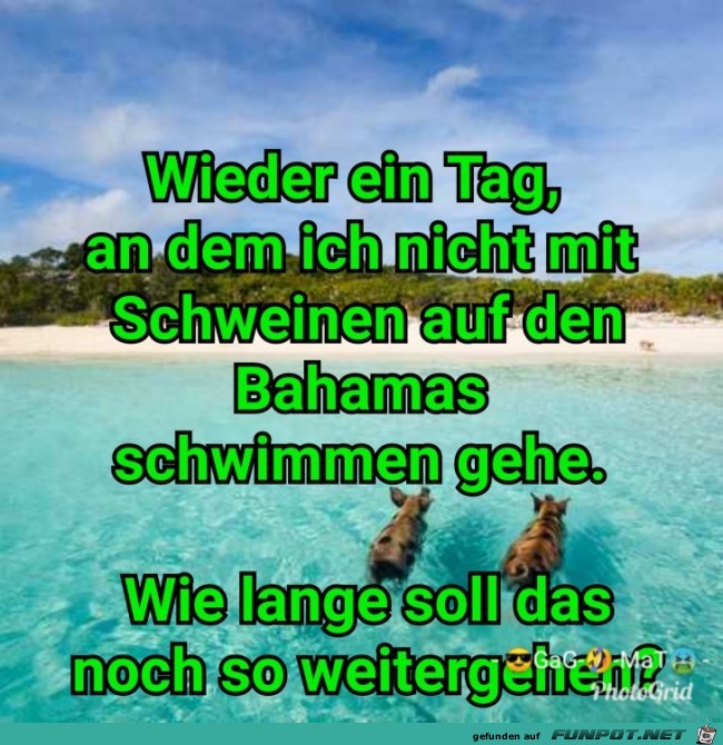 Wieder ein Tag Wieder ein Tag