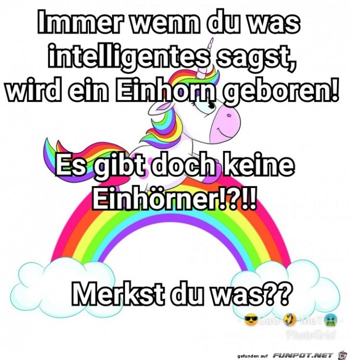 Immer Immer