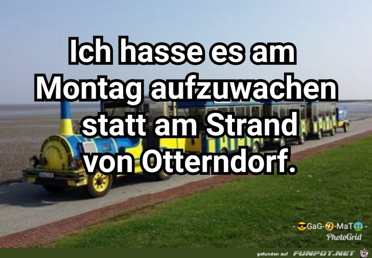 Montags Montags