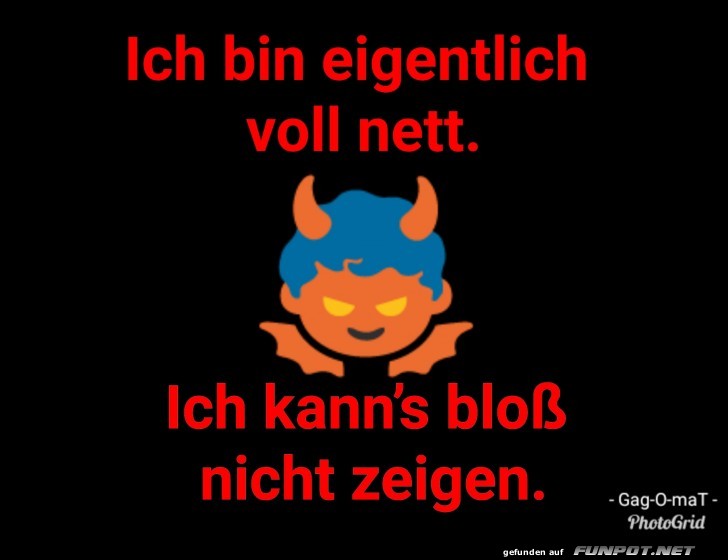 Voll nett