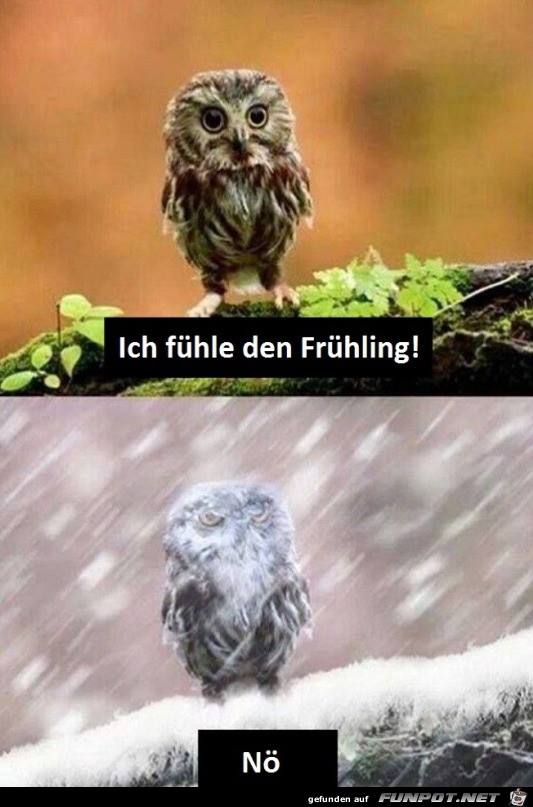 Es ist kühl Es ist kühl