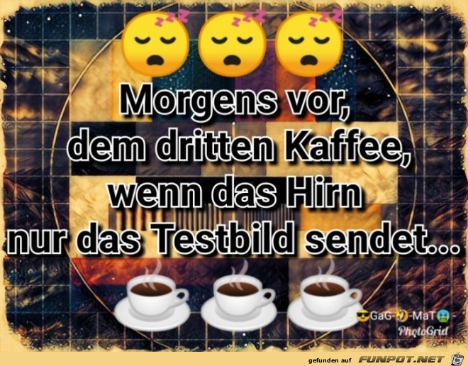 Morgens vor dem dritten Kaffee...