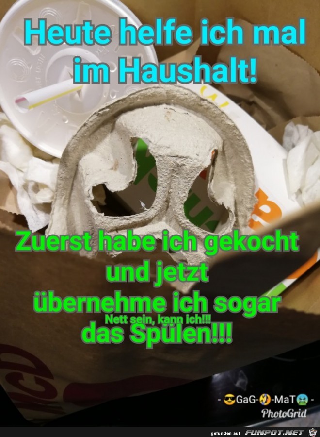 Haushaltshelfer