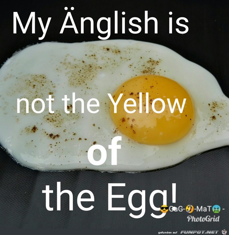 Englisch-Kenntnisse Englisch-Kenntnisse