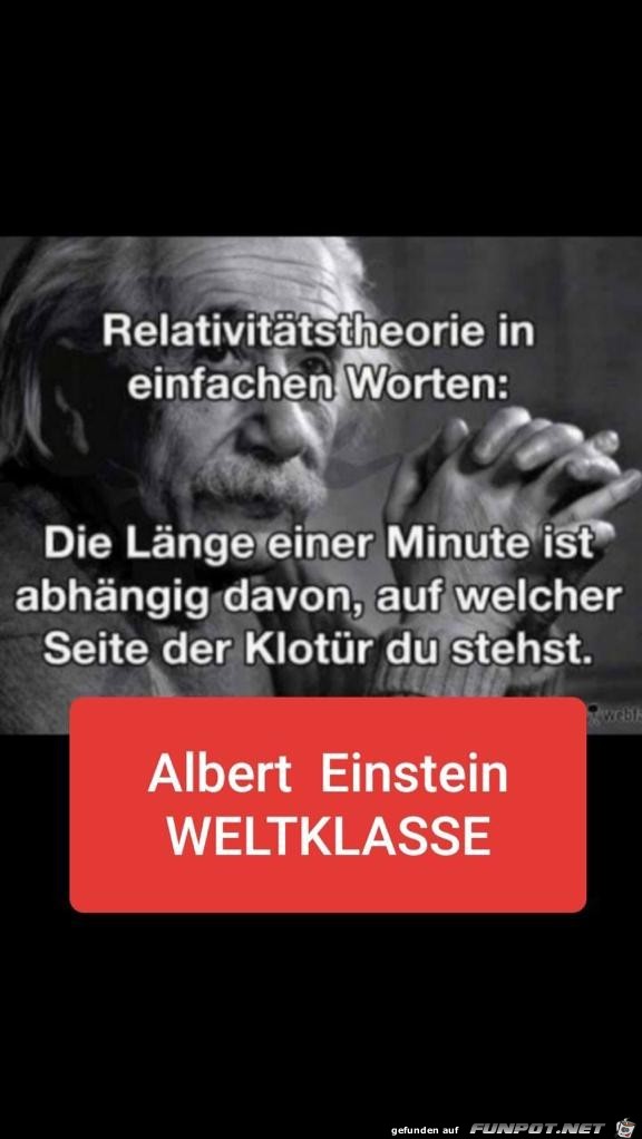 Einstein Einstein