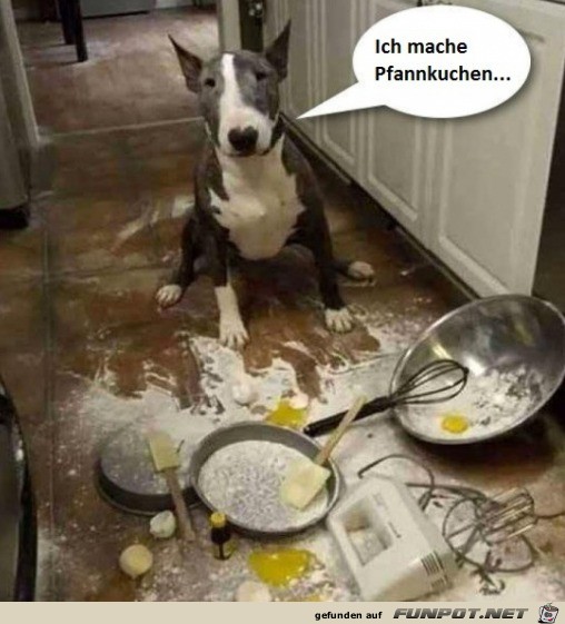 Ist bisschen daneben gegangen Ist bisschen daneben gegangen