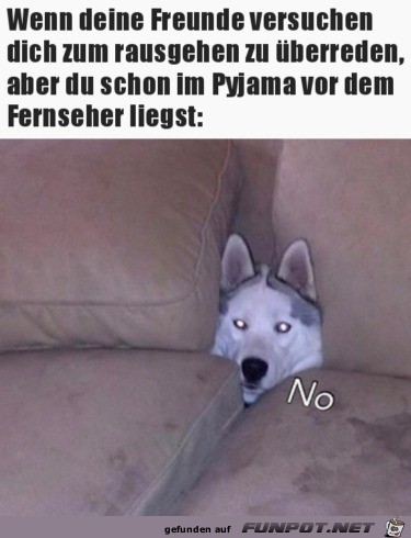 Nö Nö