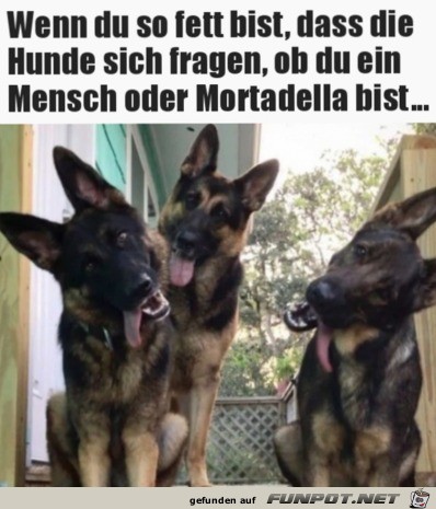 Diese Blicke Diese Blicke