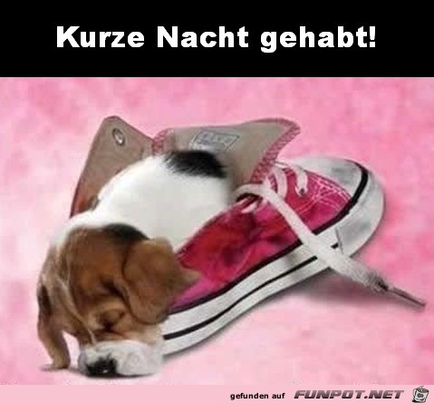 Müde Müde