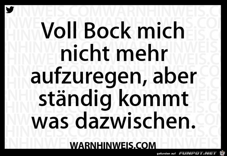 Voll Bock