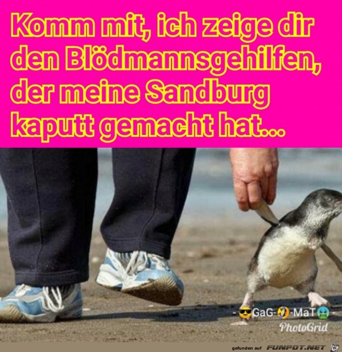 Großer Bruder Großer Bruder