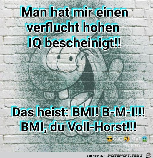 IQ vs. BMI IQ vs. BMI