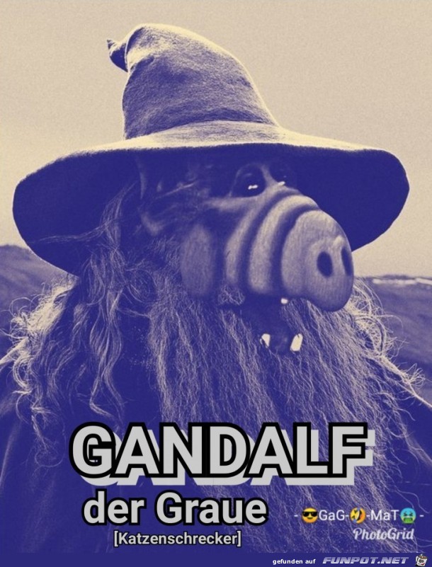Der Graue Der Graue