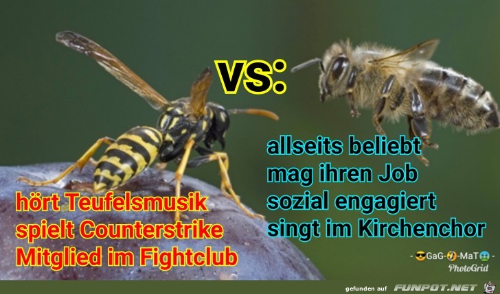 Feine Unterschiede Feine Unterschiede