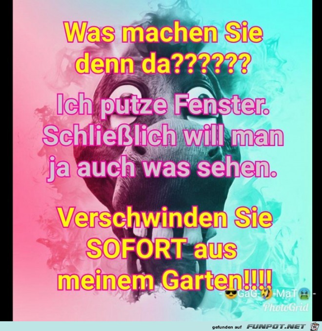 Fensterputzer Fensterputzer