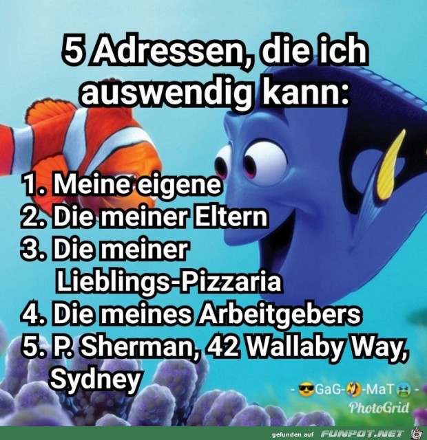 Adressen Adressen