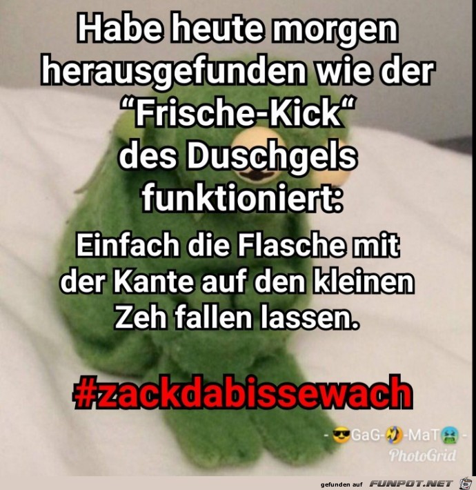 Frische Kick Frische Kick