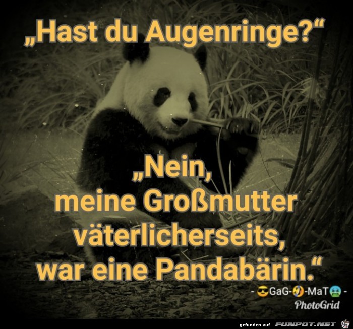 Augenringe Augenringe