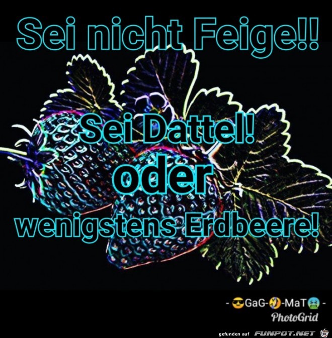 Nicht Feige sein