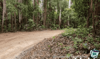 Rallye 17 Rallye 17