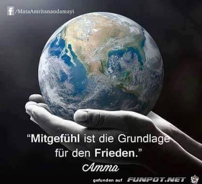 Mitgefühl Mitgefühl