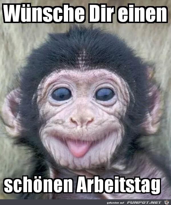 Schönen Arbeitstag Schönen Arbeitstag