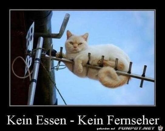 Guter Plan Guter Plan