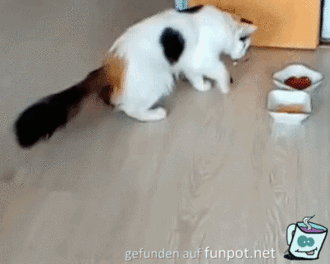Erst mal schauen was das ist Erst mal schauen was das ist