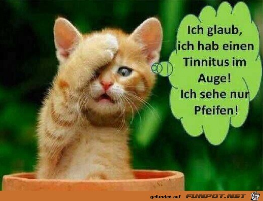 Nur Pfeifen Nur Pfeifen