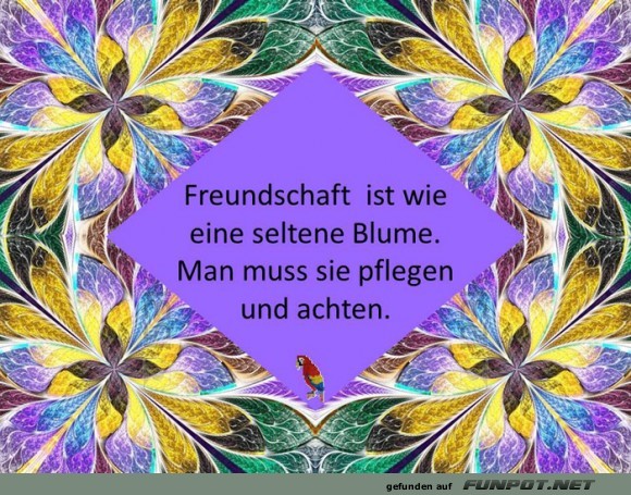 Freundschaft ist... Freundschaft ist...
